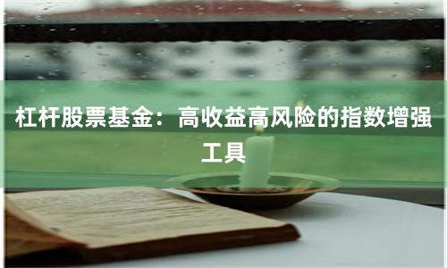 杠杆股票基金：高收益高风险的指数增强工具